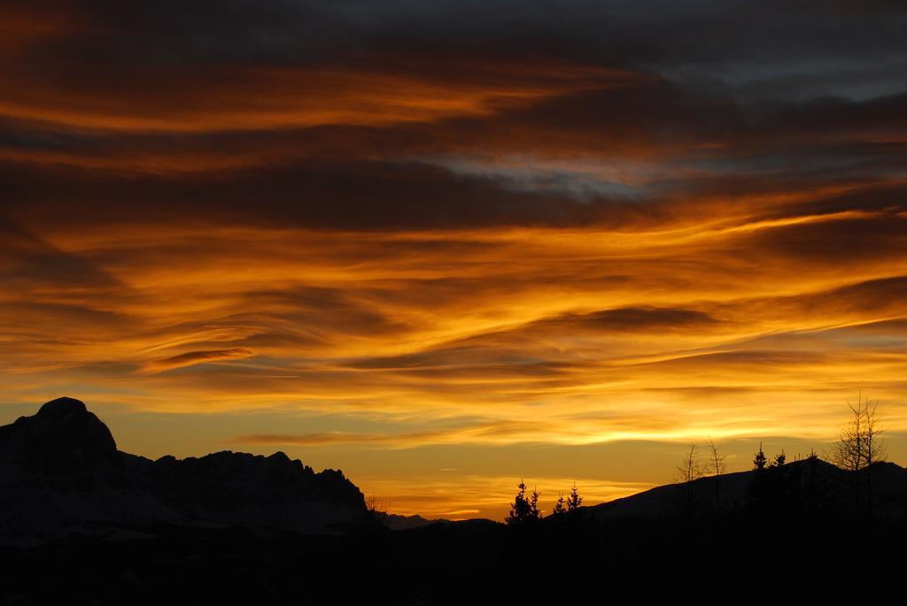 Hotel Alpine Gran Foda' 3*