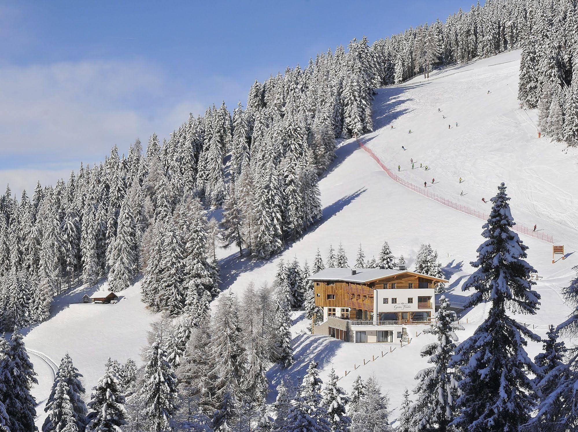 Hotel Alpine Gran Foda'